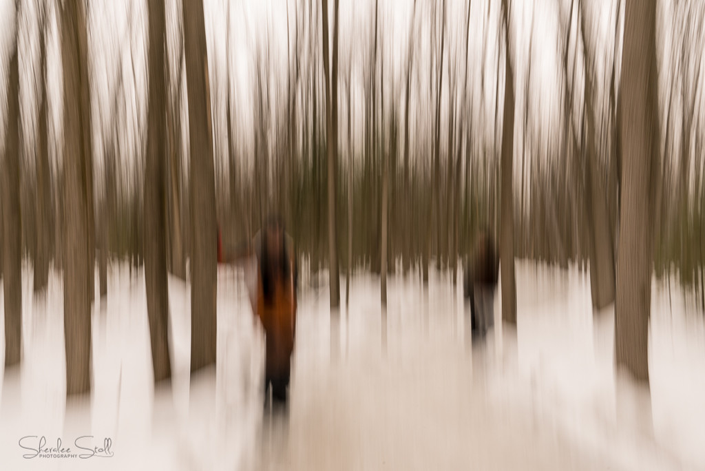 Walking in the woods by bella_ss