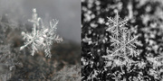 21st Feb 2018 - snowflakes then and now