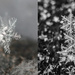 snowflakes then and now by aecasey