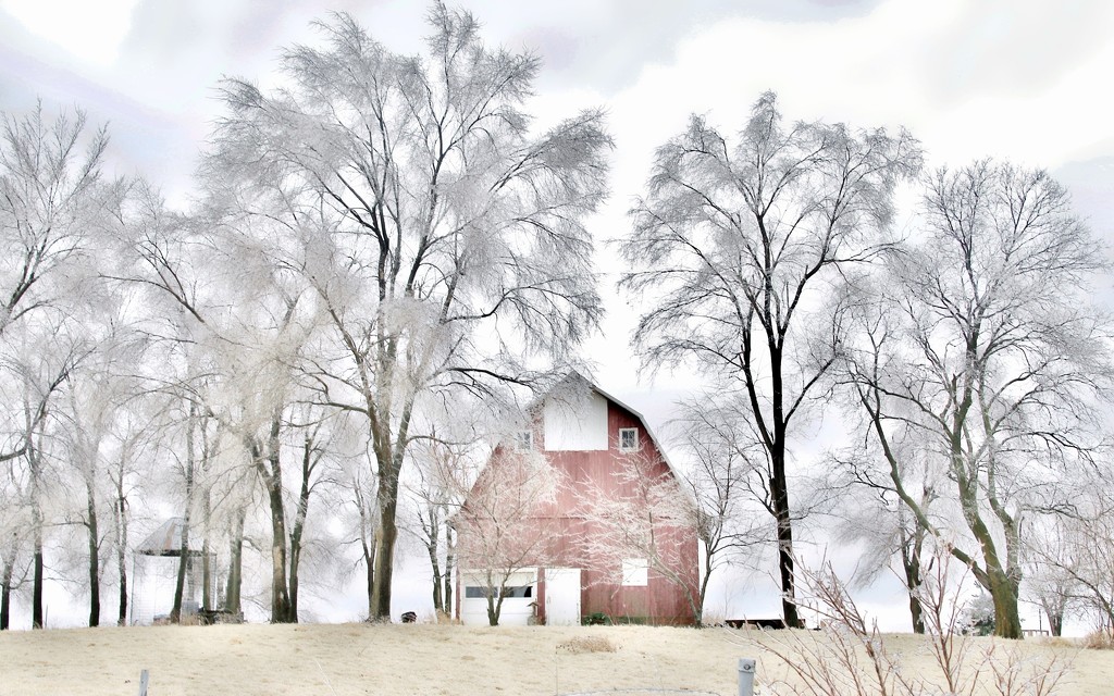 Iowa Winter by lynnz