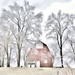 Iowa Winter by lynnz