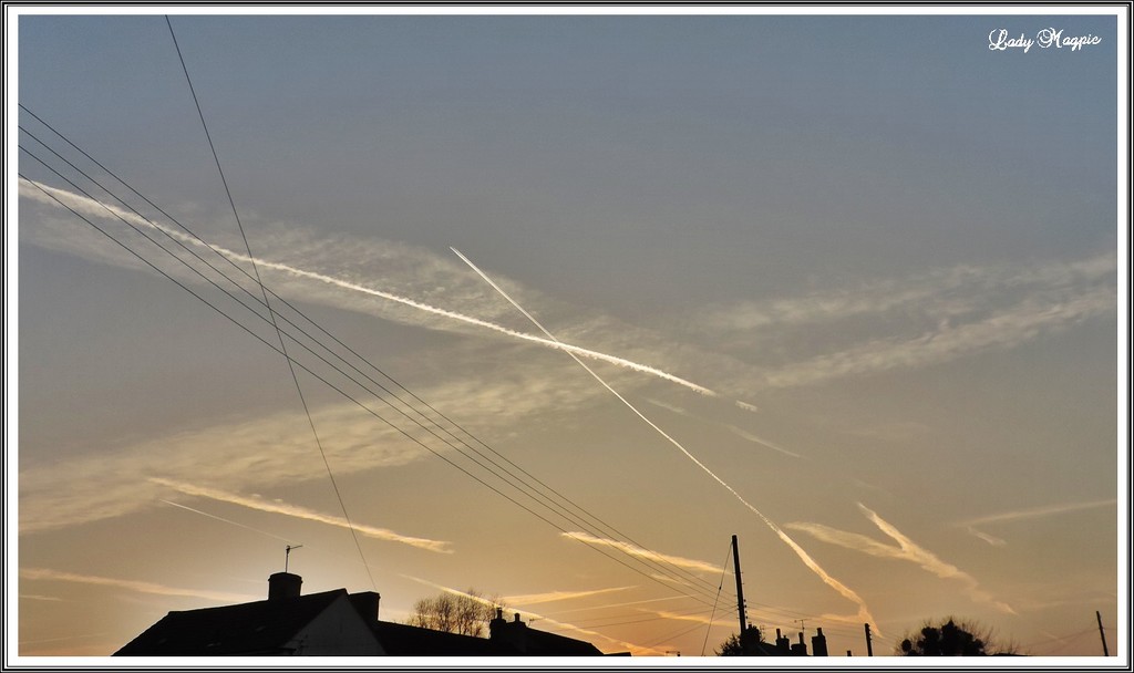 Lines in the Evening Sky by ladymagpie