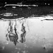 Day 159:  Reflection In A Puddle by sheilalorson