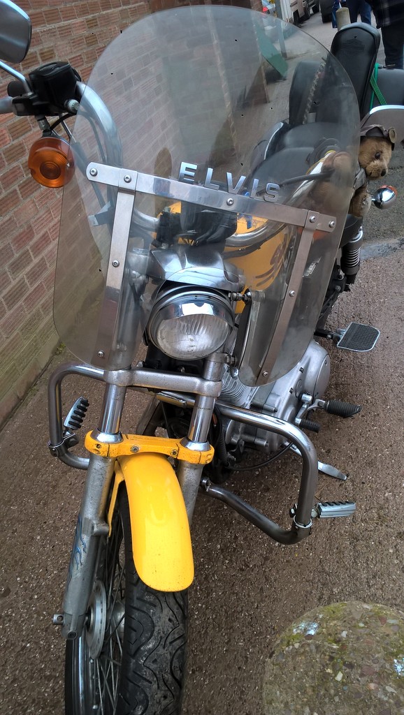 Elvis has left his bike  by brennieb