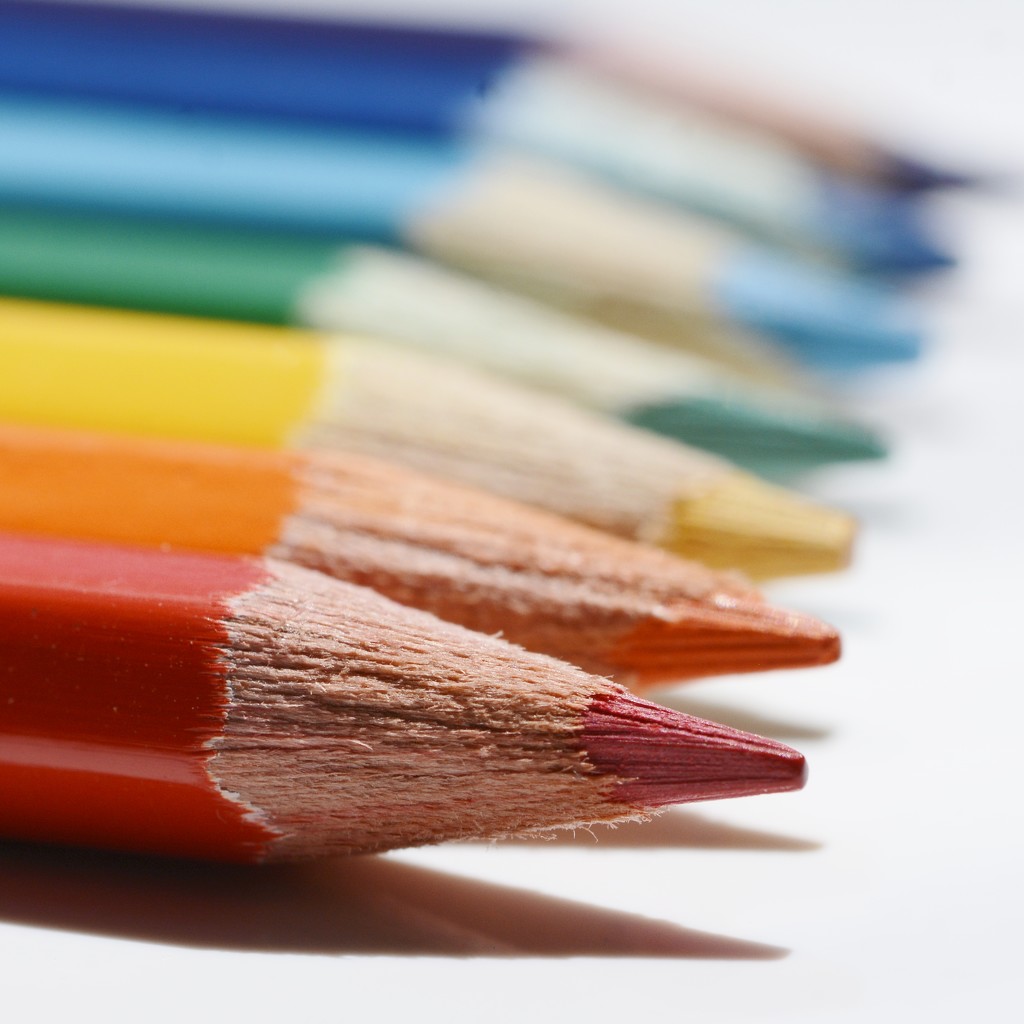 Rainbow Pencils...._DSC8021 by merrelyn