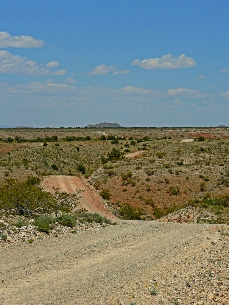 Dirt Road by janeandcharlie