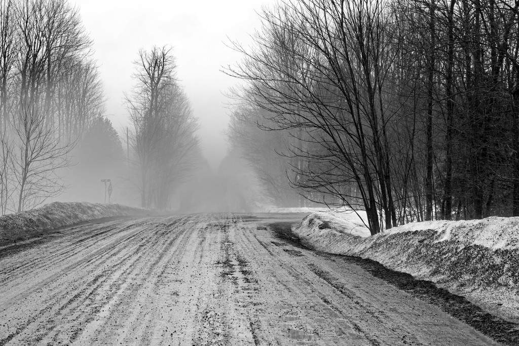 The Road Ahead is Foggy by farmreporter