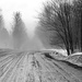 The Road Ahead is Foggy by farmreporter