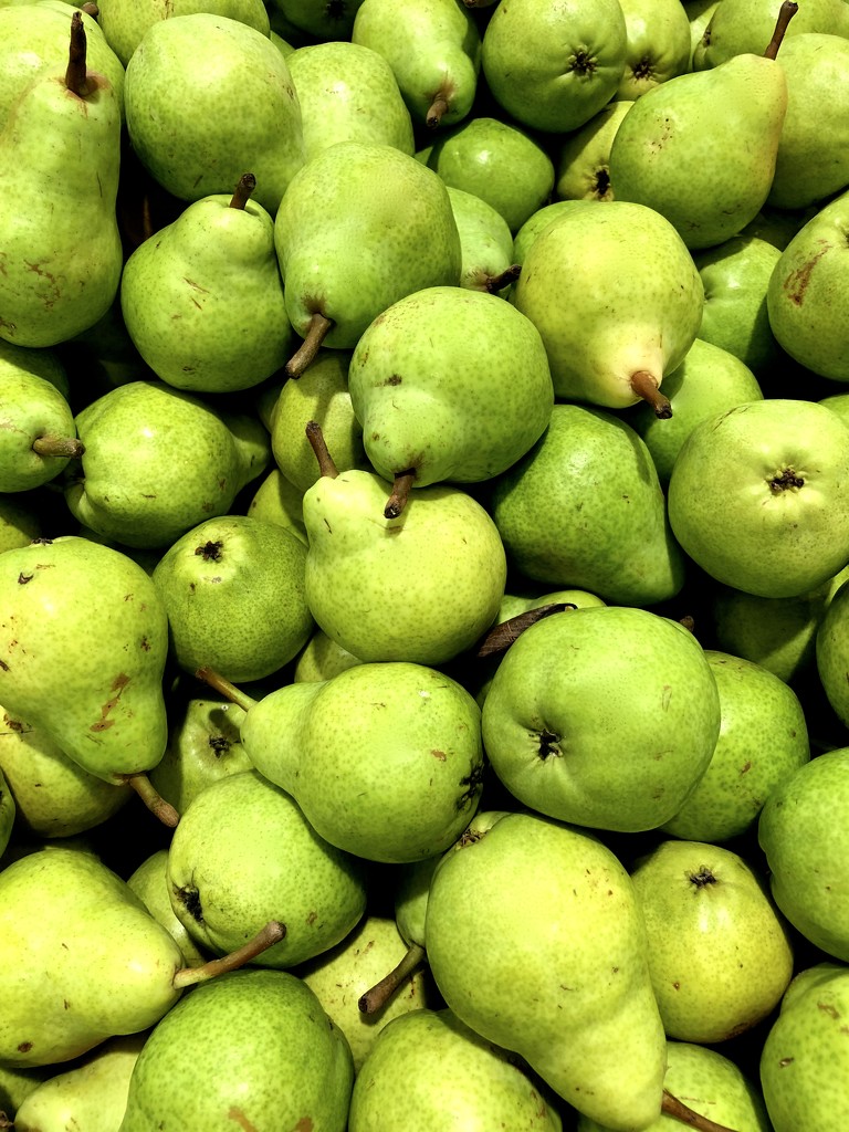 Pears by kjarn