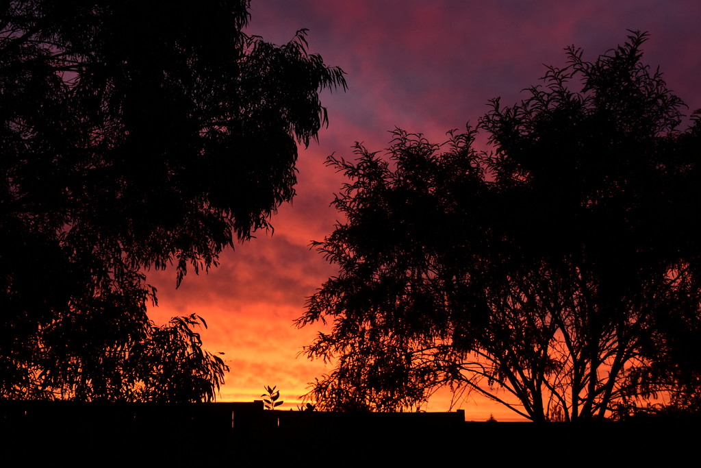 Sunset Over our Back Fence SOOC by nickspicsnz