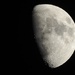 The moon this evening by roachling