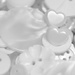 Love white Buttons by bizziebeeme