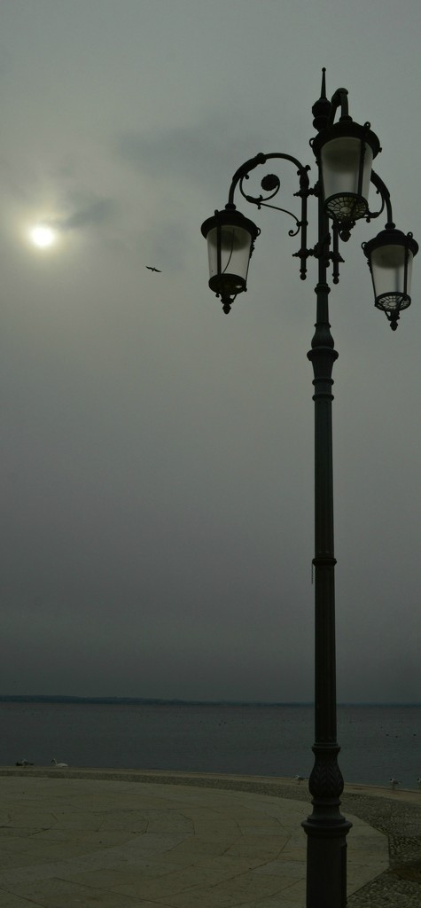 Lamp post by caterina