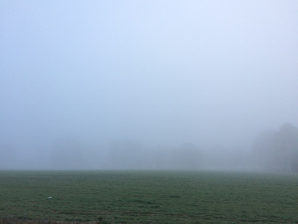 February's Foggy Farm Field by homeschoolmom