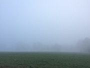 19th Feb 2018 - February's Foggy Farm Field