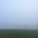 February's Foggy Farm Field by homeschoolmom