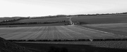 25th Feb 2018 - ploughed fields.....