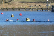 25th Feb 2018 - buoys and girls come out to play