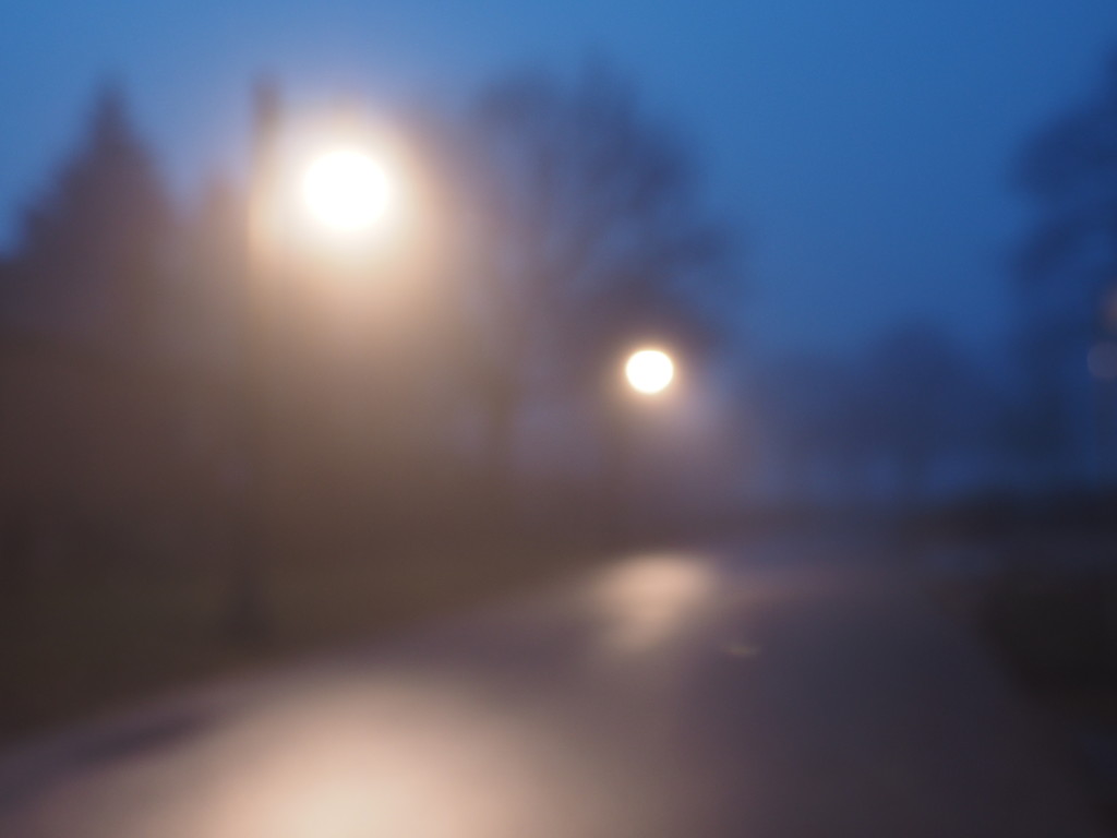 Blurry Misty Morning by selkie