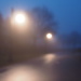 Blurry Misty Morning by selkie