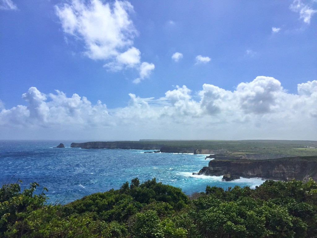 Guadeloupe cliffs.  by cocobella