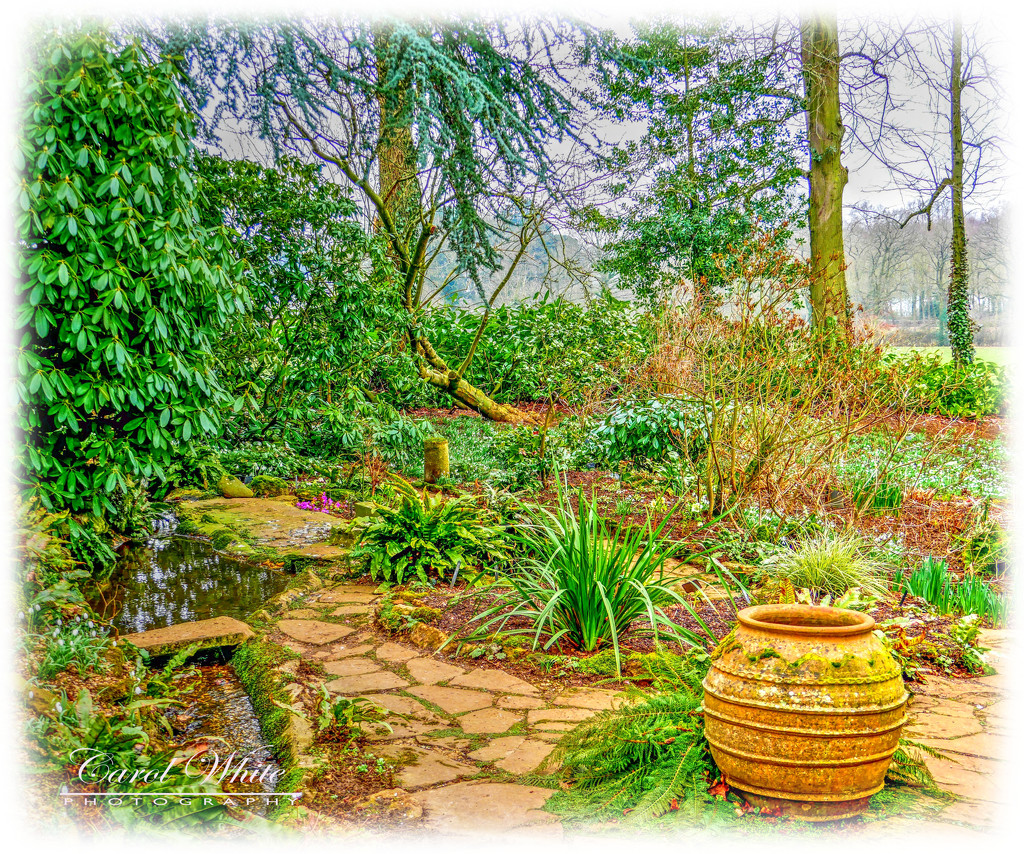 Coton Manor Gardens (Another View) by carolmw