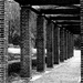 Columns by jacqbb