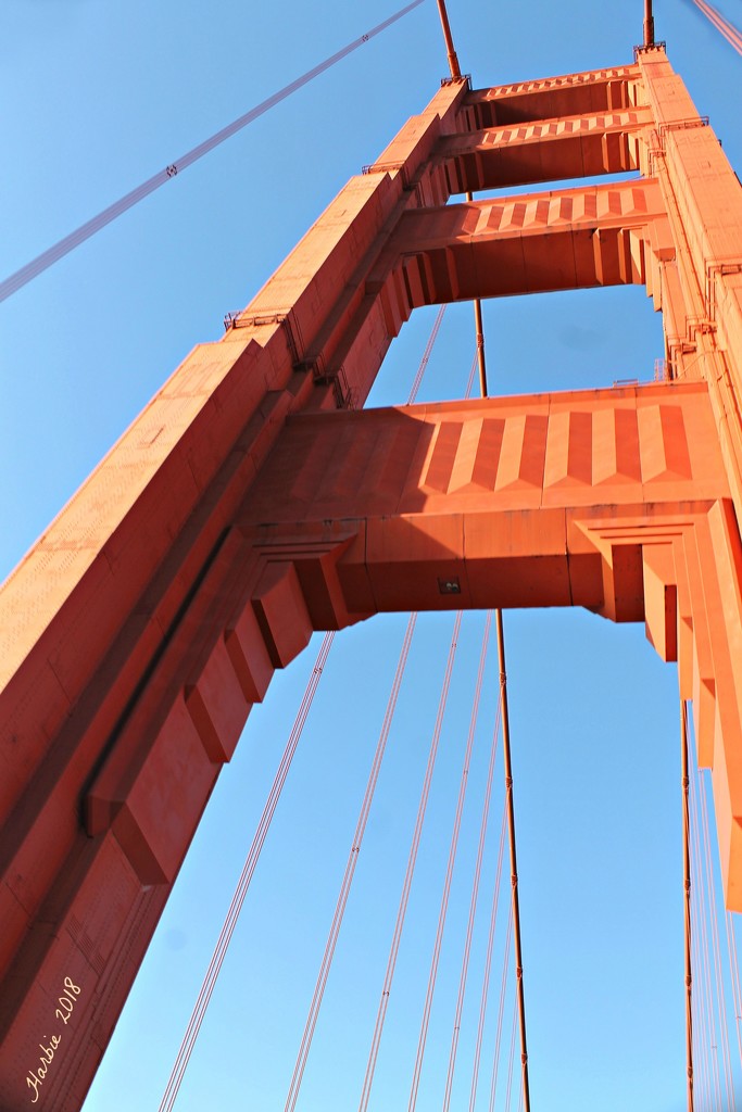  The Golden Gate Bridge II by harbie