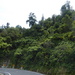 Taken from the moving car on the road to Taranaki.  by chimfa