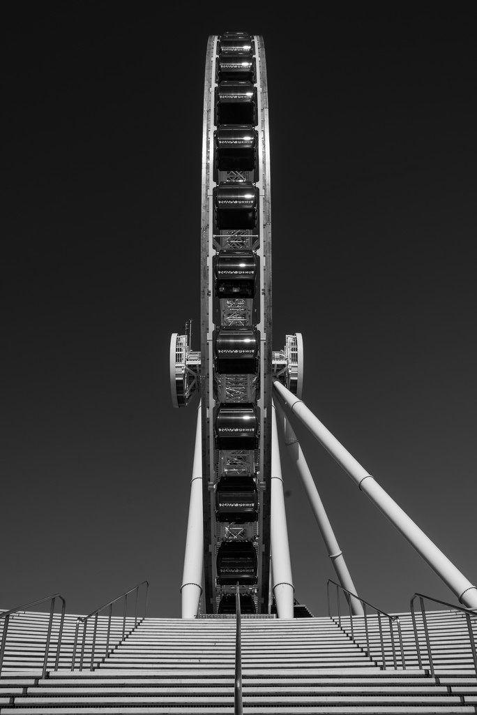 Navy Pier Ferris Wheel by taffy