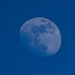 Blue Moon by dakotakid35