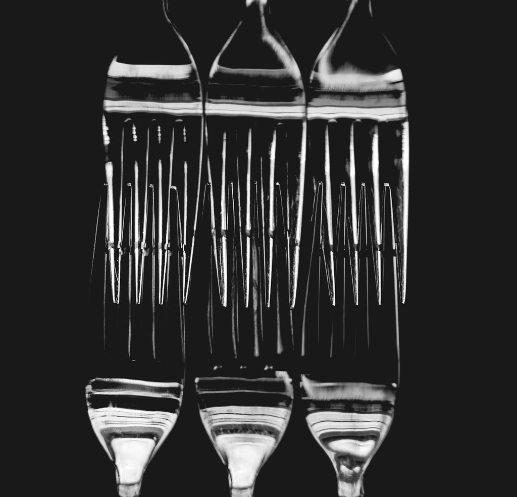 (Day 13) - Pattern of Forks by cjphoto