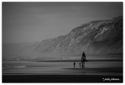 27th Feb 2018 - Man, horse, and dogs at the Coast...