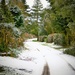 Overnight Snow by carole_sandford