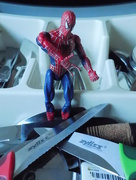 27th Feb 2018 - Spiderman meets the Blades