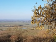 26th Feb 2018 - Overlooking the Levels