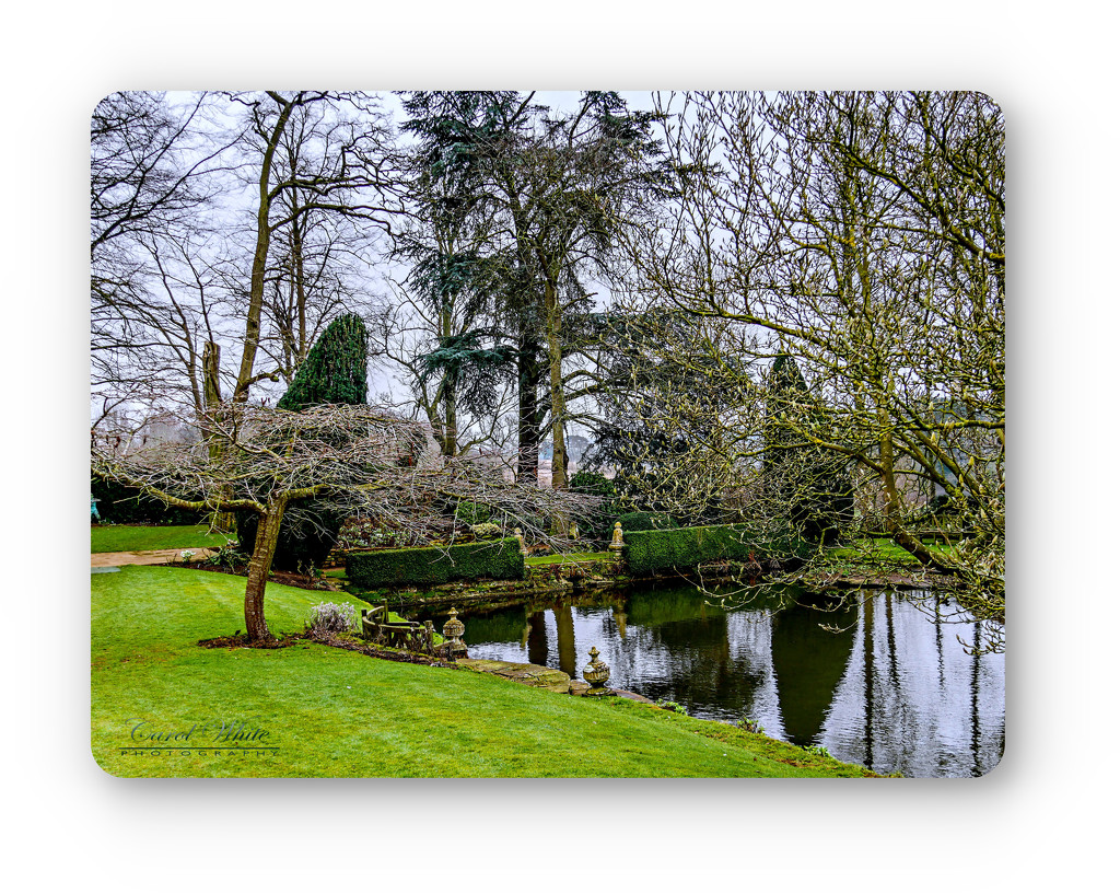 Trees In Winter At Coton Manor Gardens by carolmw