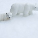 Polar bears in their natural context! by 365anne