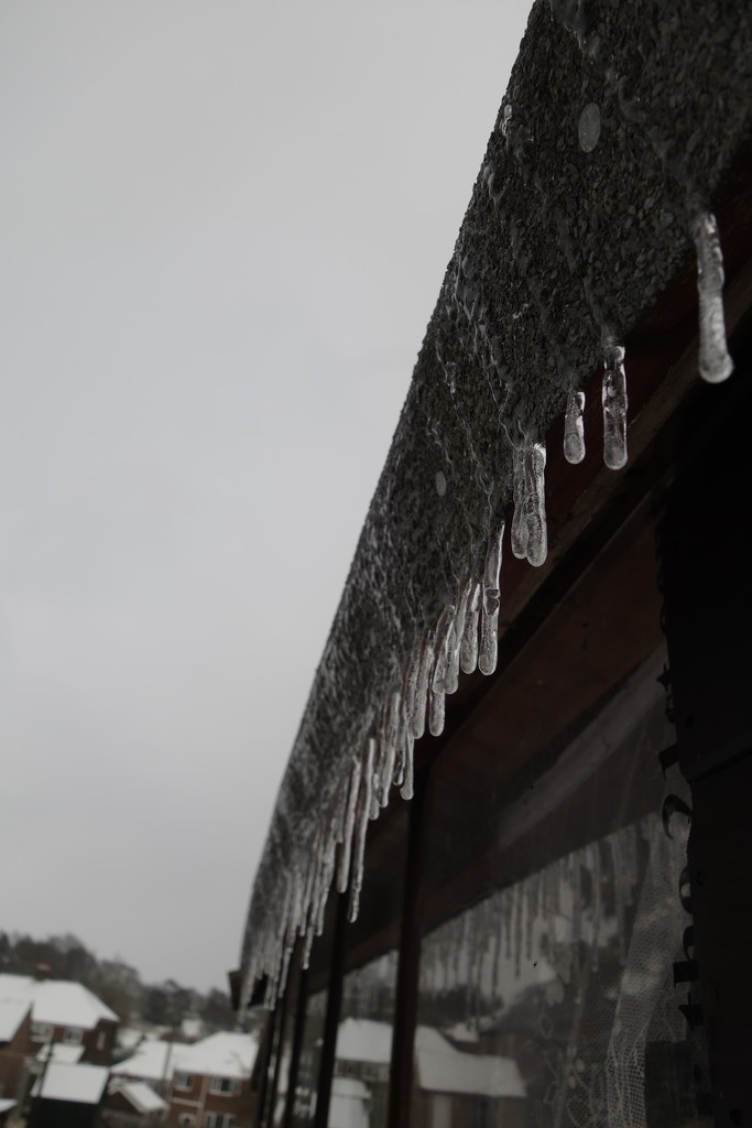 icicles and more icicles  by brennieb