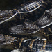 Baby Alligators by epcello
