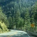 green, on Hwy 199 by pandorasecho