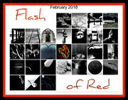 1st Mar 2018 - Flash of Red 2018