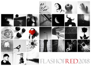 28th Feb 2018 - Flash Of Red 2018