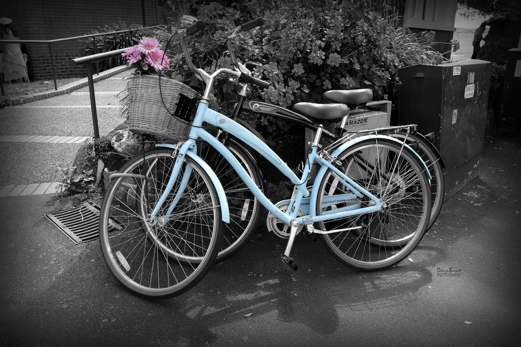 Blue bike by dkbarnett