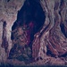 Tree Trolls by joysfocus