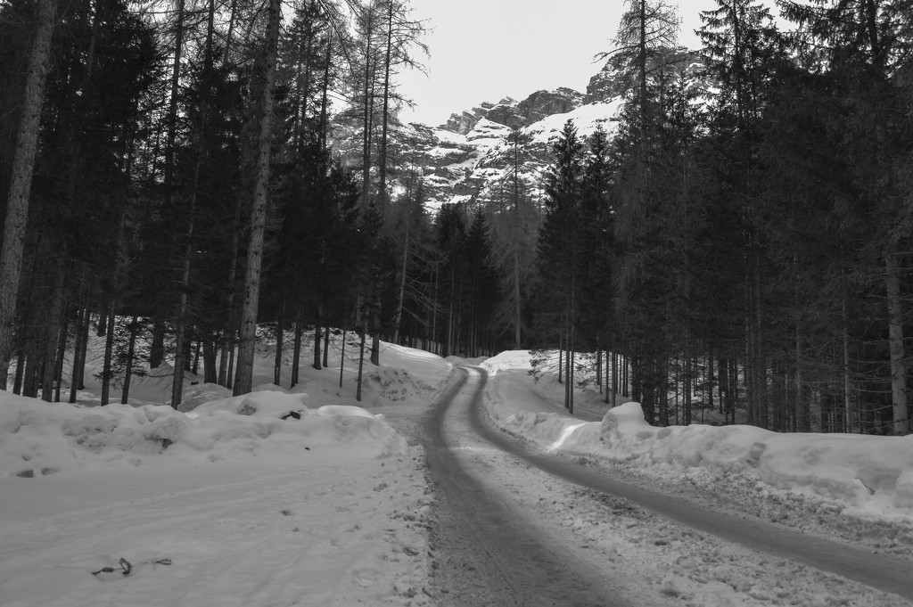 Frozen road towards the mountain by caterina