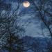 Goodbye February Moon by lesip