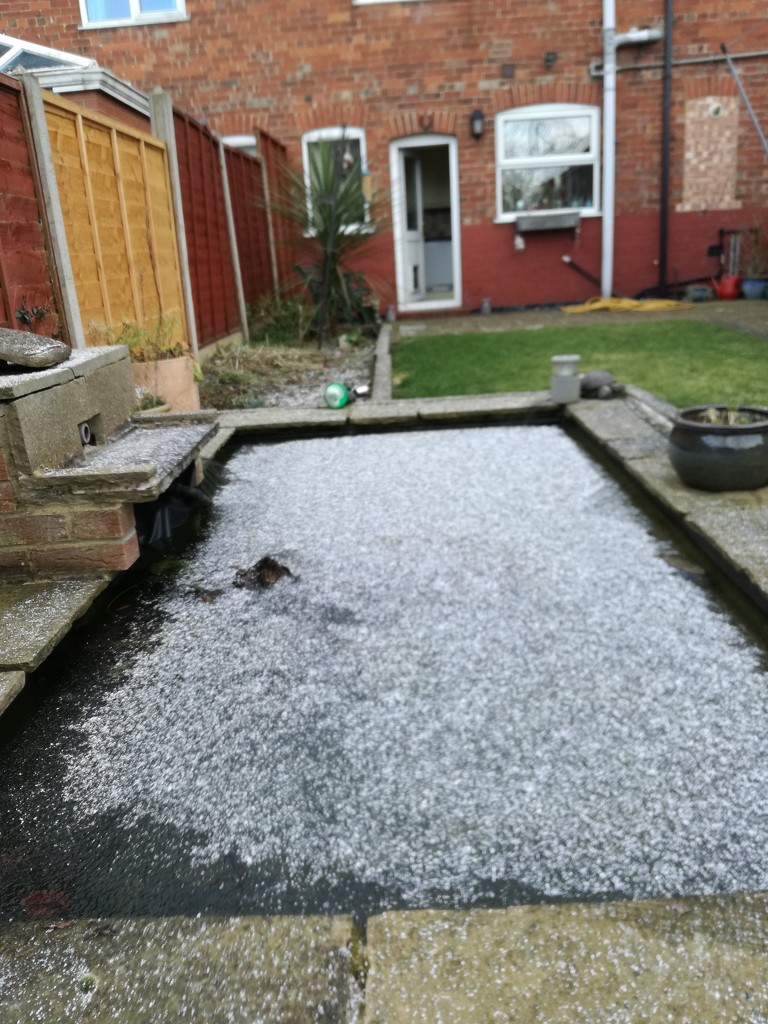 Frozen Pond by plainjaneandnononsense