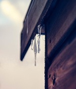 28th Feb 2018 - Icicles