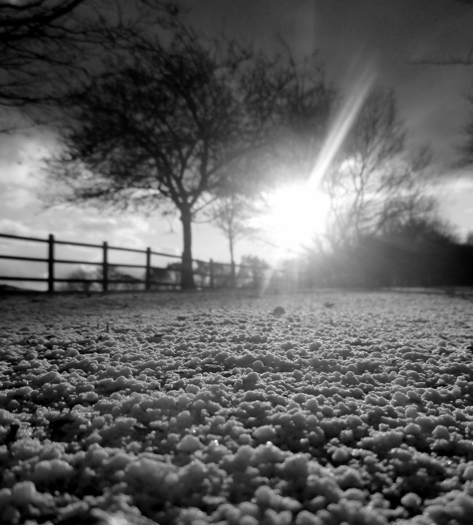 Snowy path by filsie65